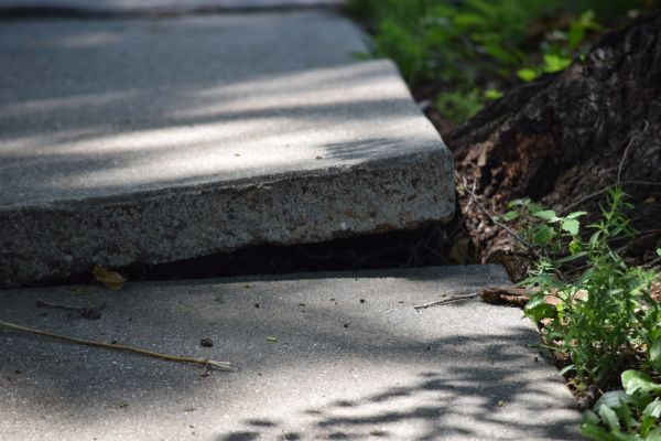 Cost of Sidewalk Leveling in Tampa
