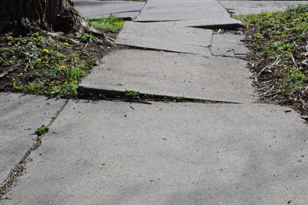 Cost of Uneven Sidewalk Repair in Tampa